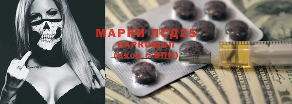 PSILOCYBIN Пересвет