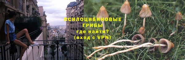 твердый Пестово