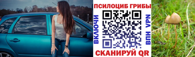 Псилоцибиновые грибы мухоморы  Боровичи 