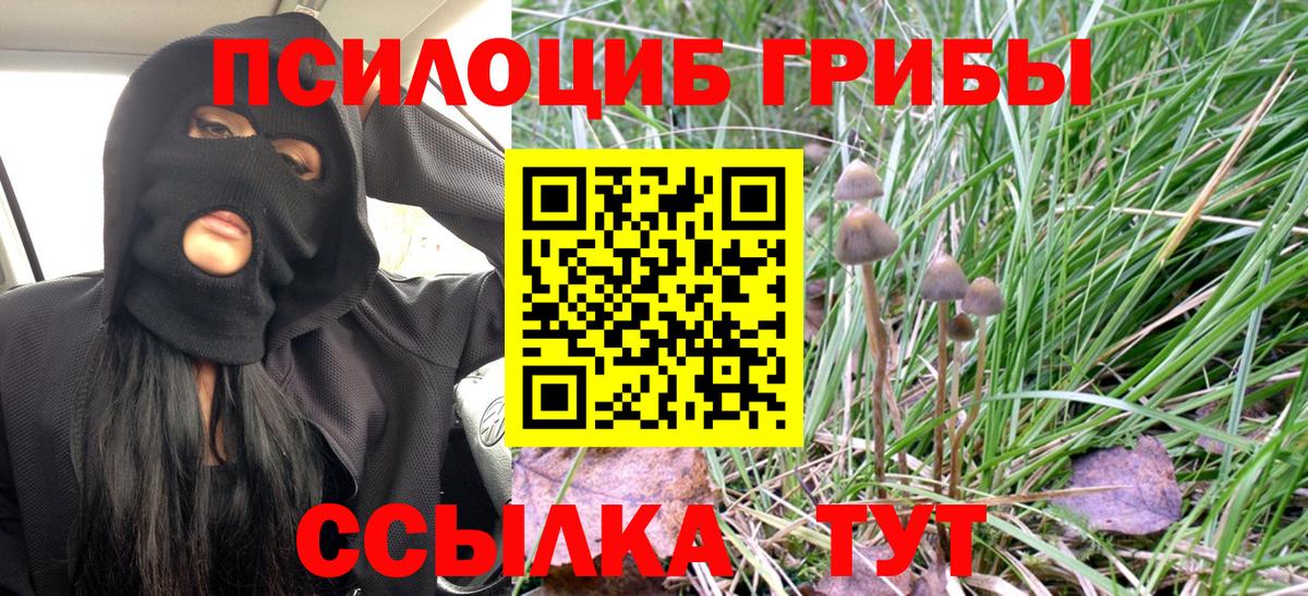 Псилоцибиновые грибы ЛСД  Боровичи 