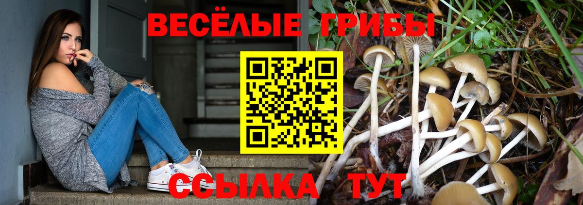 Псилоцибиновые грибы MAGIC MUSHROOMS Боровичи