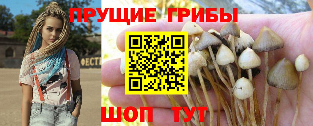 Псилоцибиновые грибы мухоморы Боровичи